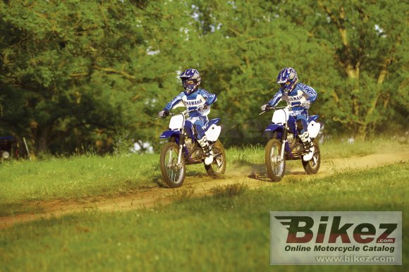 2006 Yamaha TT-R125/LW photo